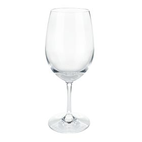 Shatterproof Plastic Wine Glass by True