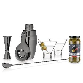 Viski martini Kit (Color: Multicolor, Material: Glass and metal)